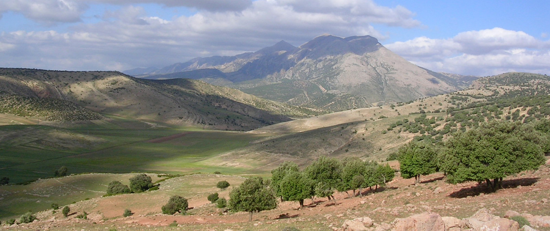 MAROC     MOYEN-ATLAS     RÉGION DE BOULEMANE